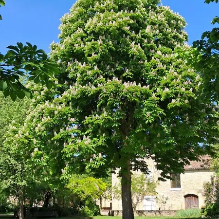 Au Coeur Du Quercy Vaylats